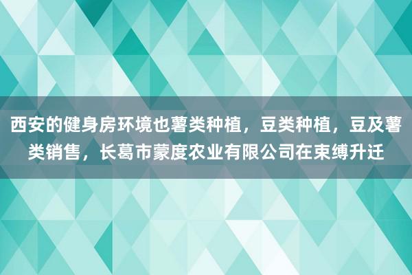 西安的健身房环境也薯类种植，豆类种植，豆及薯类销售，长葛市蒙度农业有限公司在束缚升迁